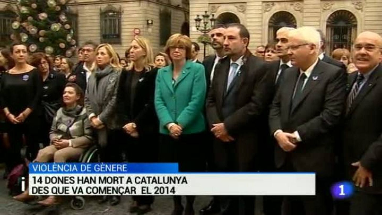 L'informatiu - 25/11/2014