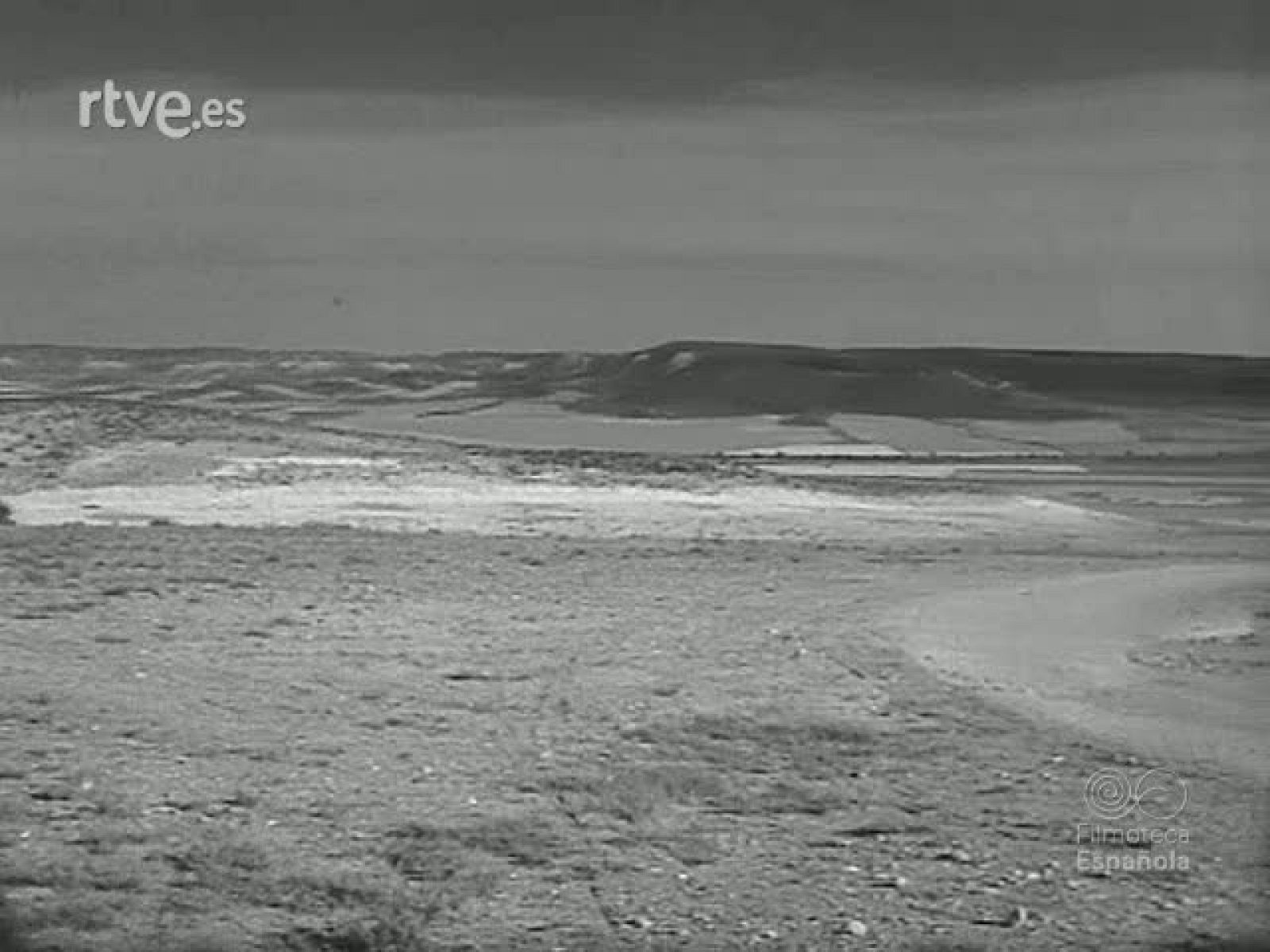 AGUA EN MONEGROS - Revista Imágenes | Ver