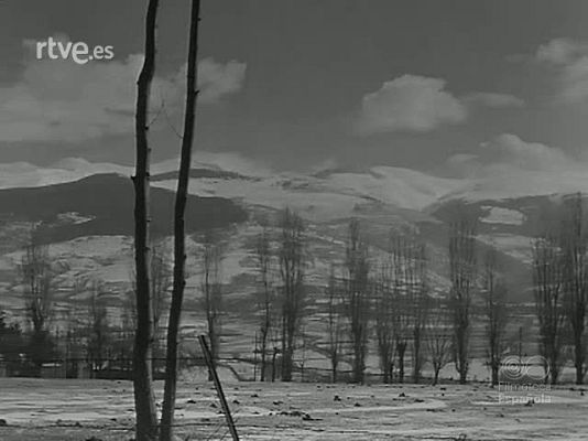 Revista Imágenes - FRONDA Y NIEVE EN LA CERDAÑA