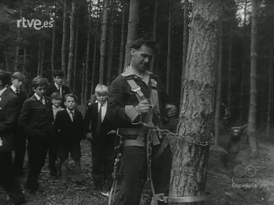 Revista Imágenes - EL HOMBRE Y LA TECNICA