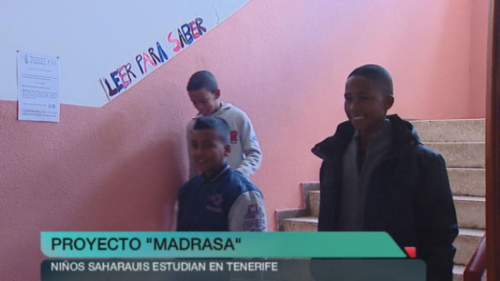 + Canarias - 26/11/14 - +Canarias | Ver