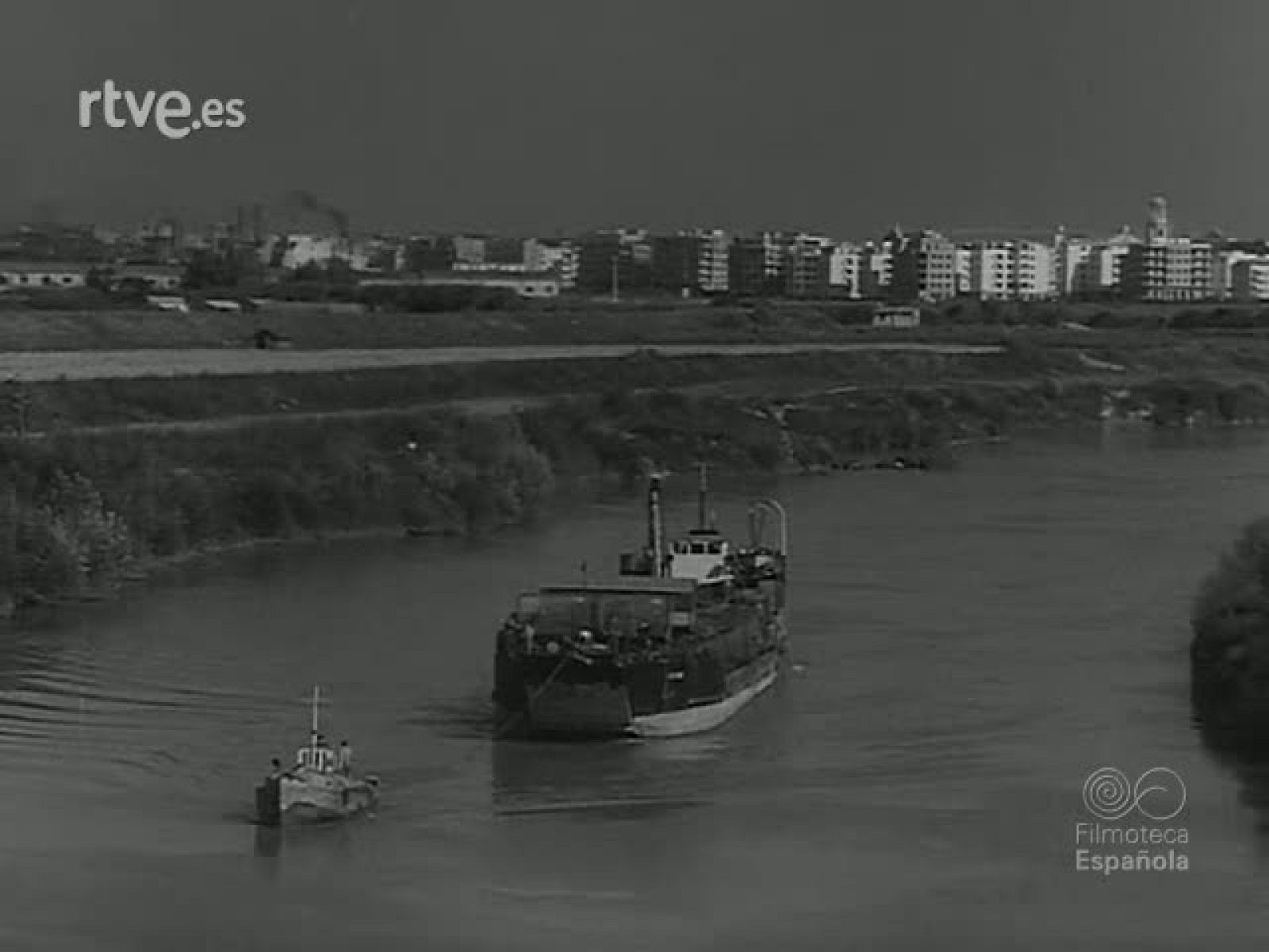 ZOOLOGIA PINTORESCA - Revista Imágenes | Ver