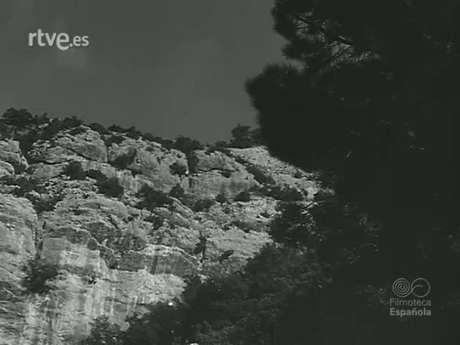 CETRERIA - Revista Imágenes | Ver