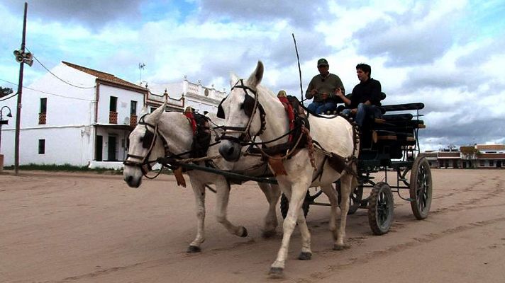 Comando Actualidad - El Rocío
