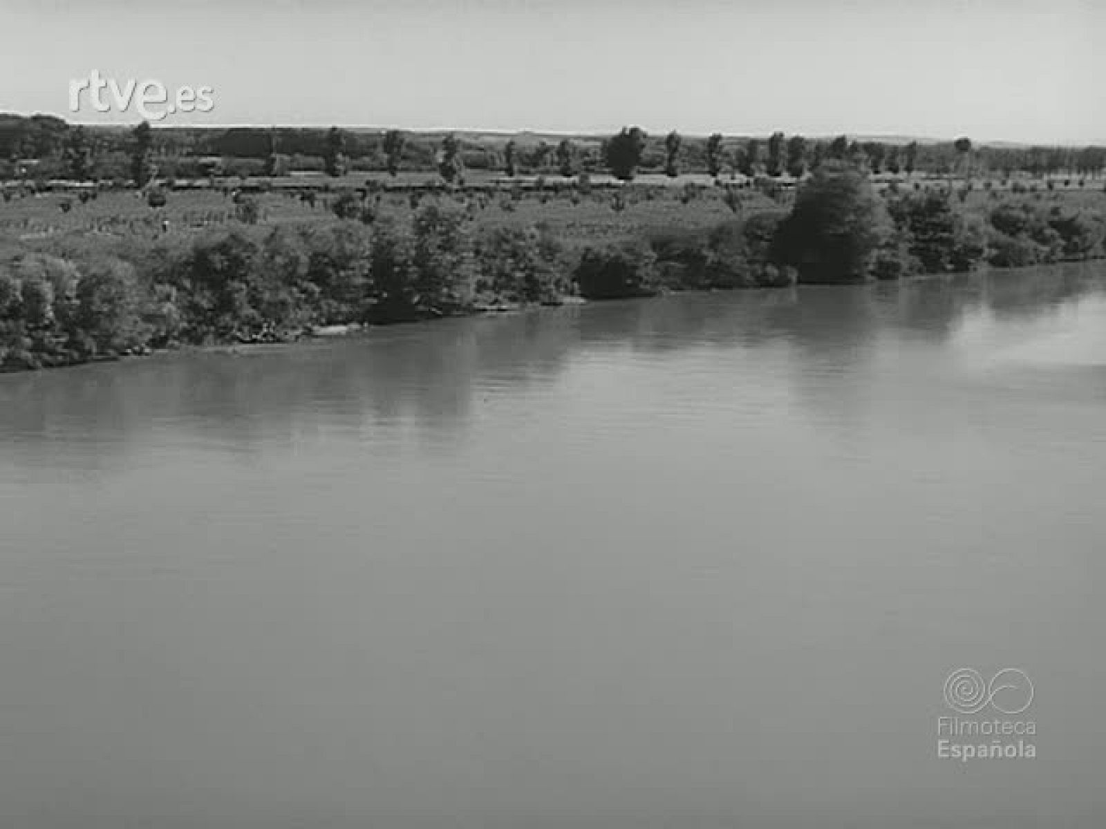 MODERNIZACION FERROVIARIA - Revista Imágenes | Ver