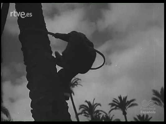 Revista Imágenes - EXPRESIONES DE LA FE