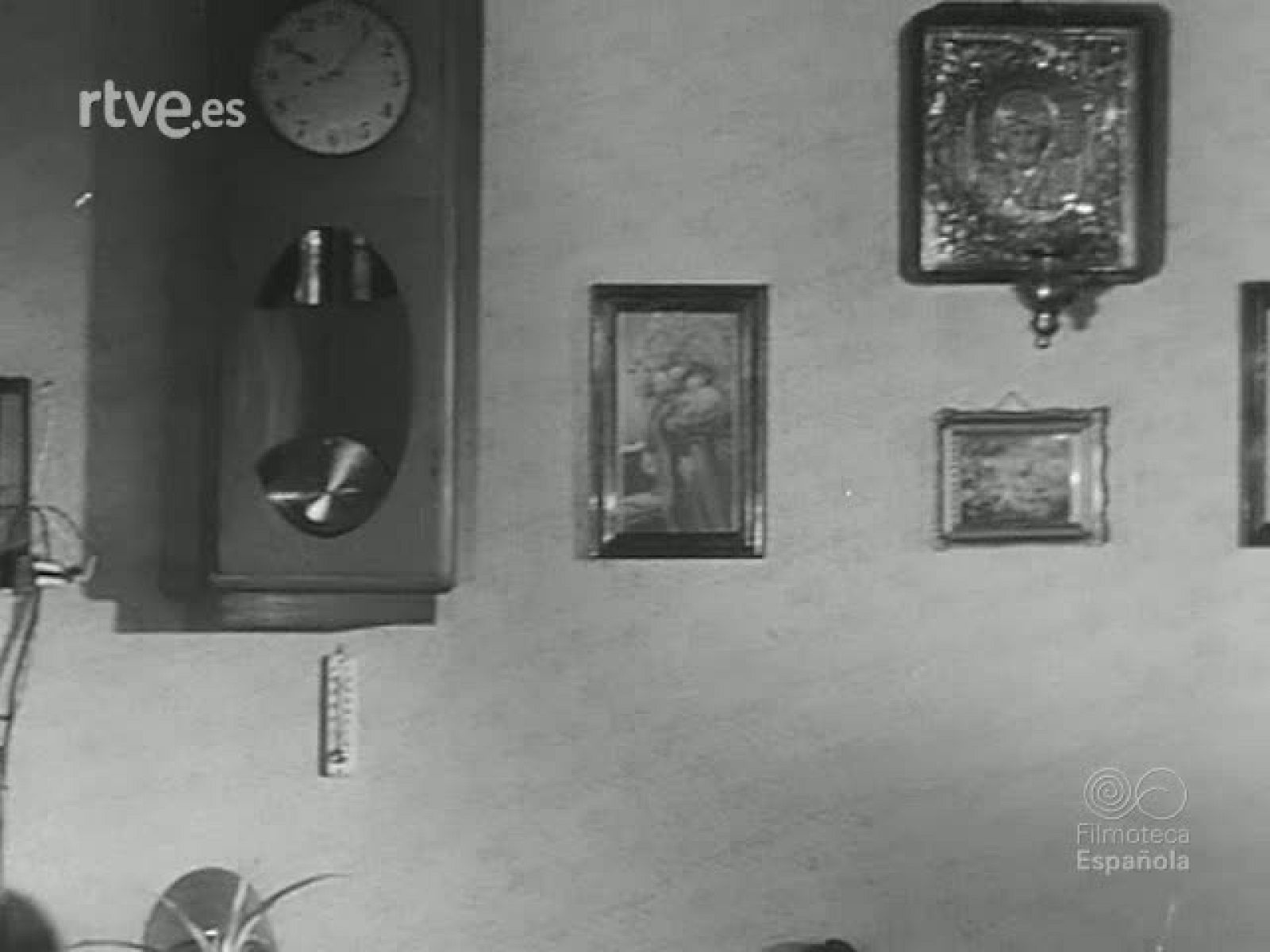 ACUARIOS PECES Y REDES - Revista Imágenes | Ver