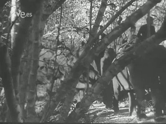 Revista Imágenes - EL ORO Y LA PAZ