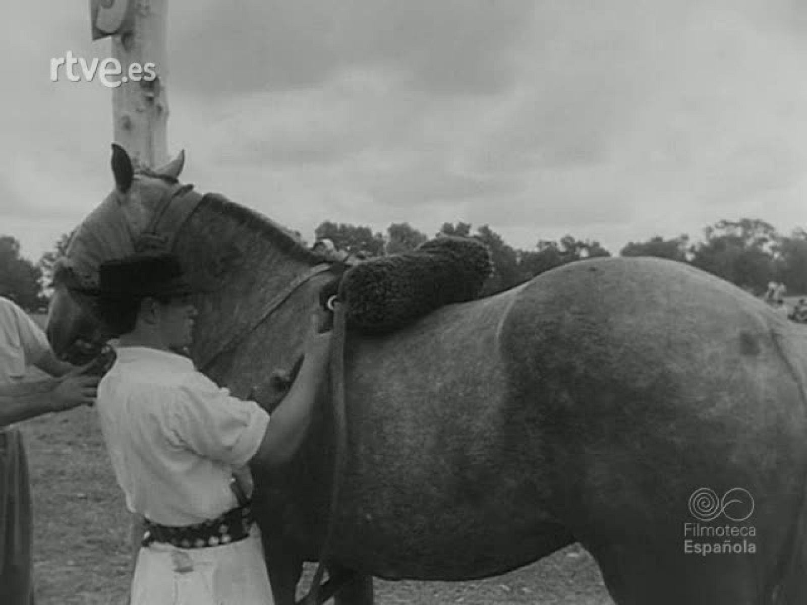 INSTINTO Y DOMA - Revista Imágenes | Ver