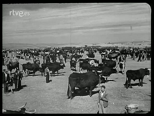 Revista Imágenes - EN TORNO A SALAMANCA