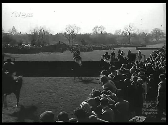 Revista Imágenes - LOS ANIMALES Y EL CINE