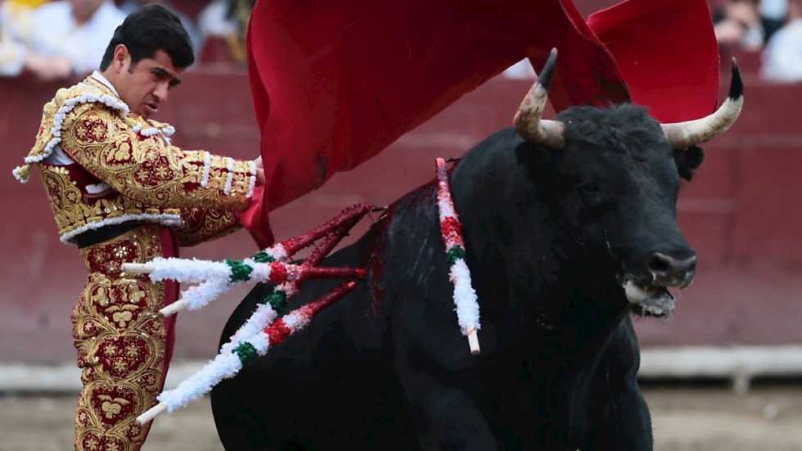 Tendido Cero - 29/11/14 - ver ahora