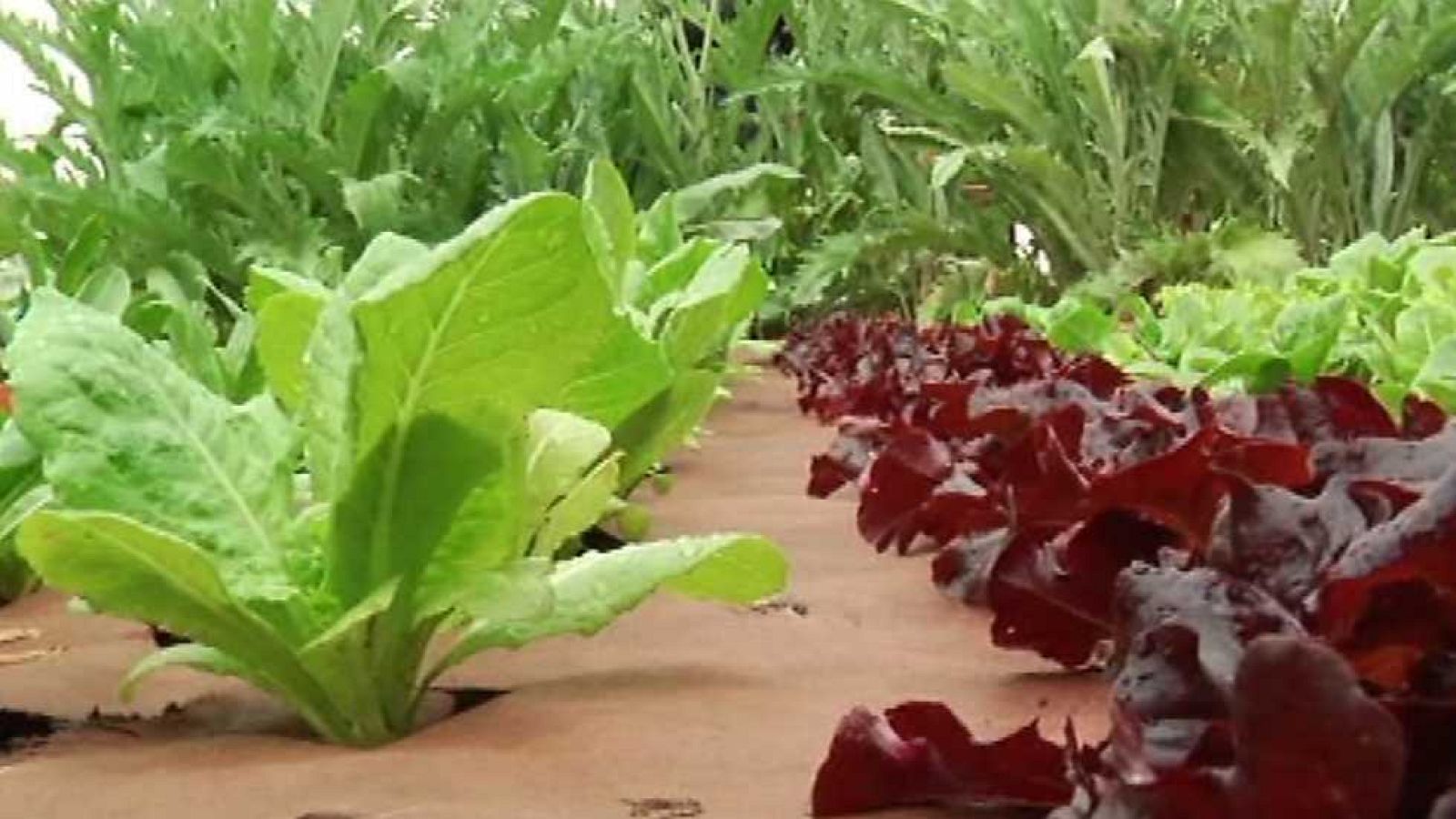 La Casa Encendida - 29/11/14 - Ver ahora