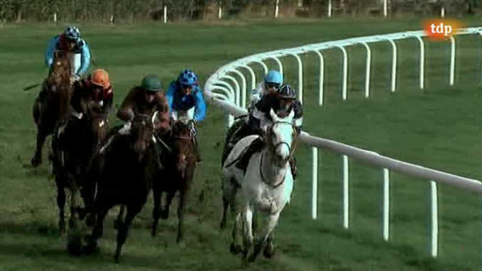 Turf - 30/11/14 - ver ahora