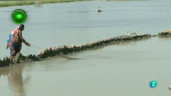 Agrosfera - Piensos para acuicultura