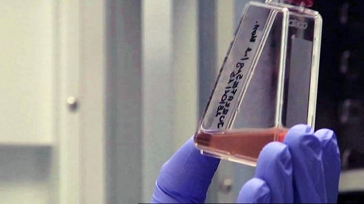 Informativo 24h - Investigación en prevención del SIDA