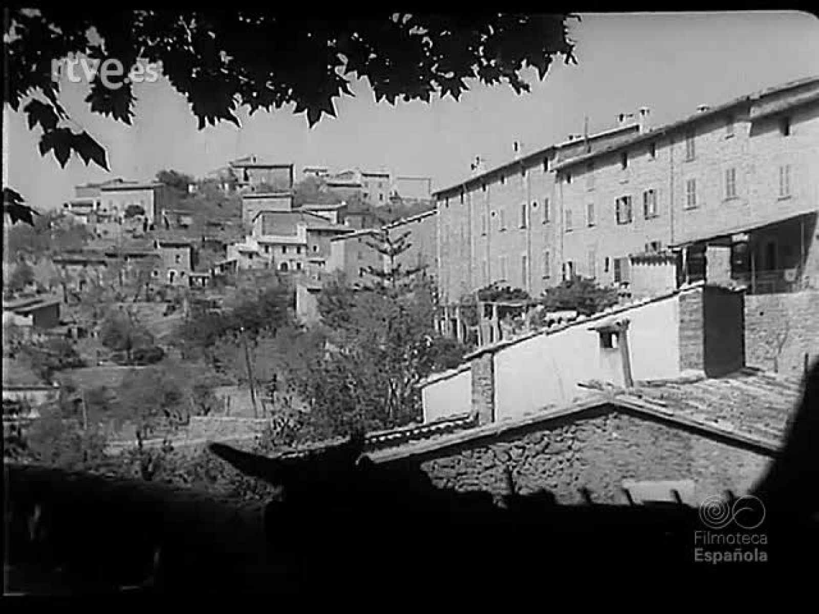 LA ISLA DE LA PAZ - Revista Imágenes | Ver