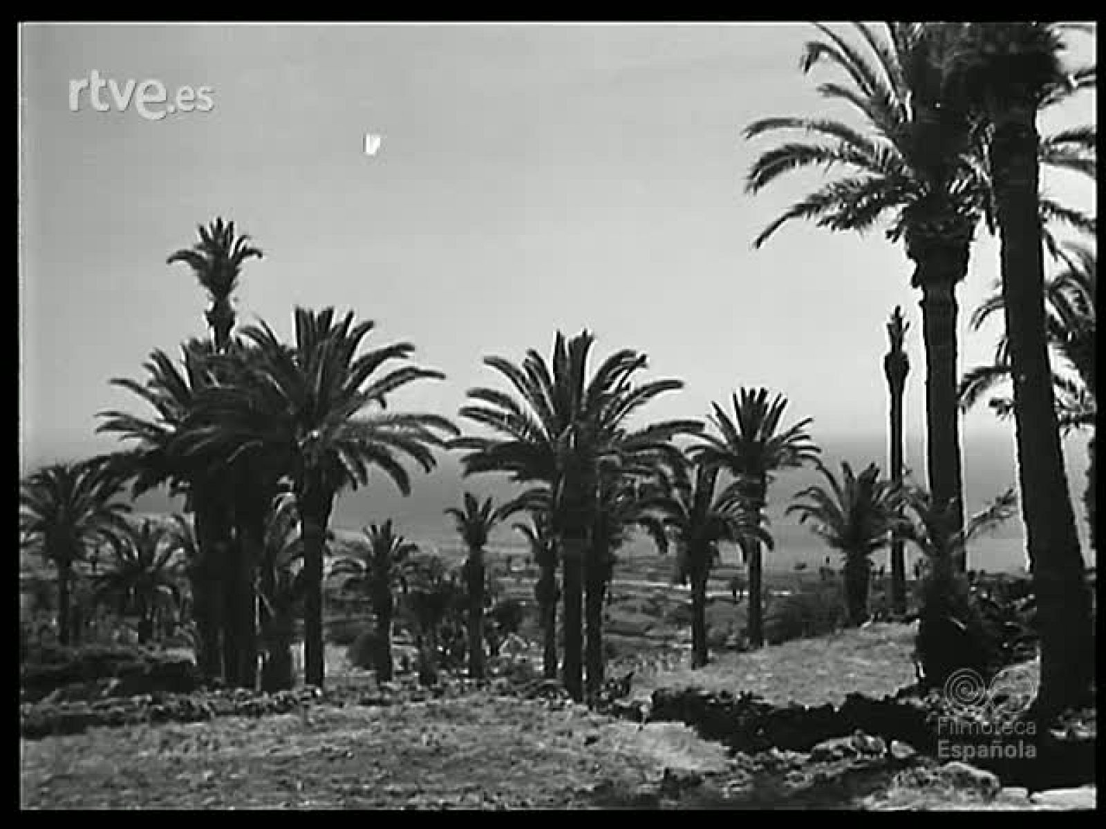 EN LA ISLA DE LA PALMA - Revista Imágenes | Ver