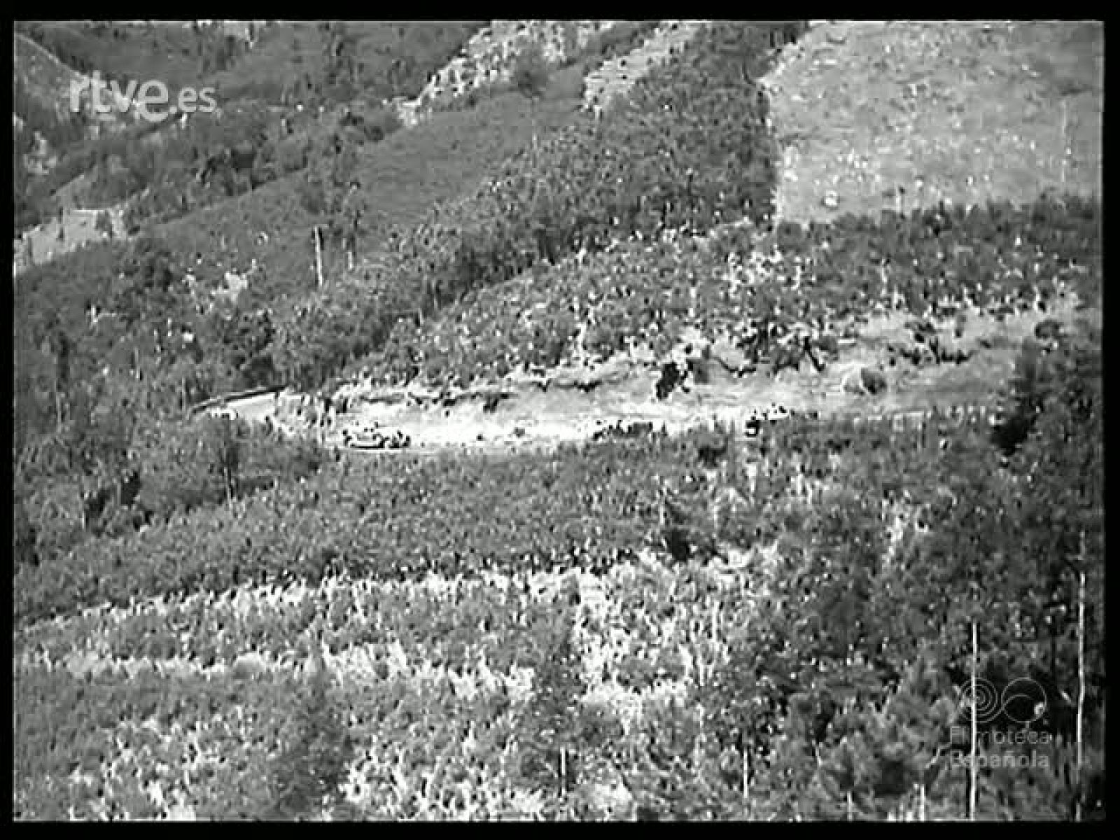 DE CANARIAS A MADERA - Revista Imágenes | Ver