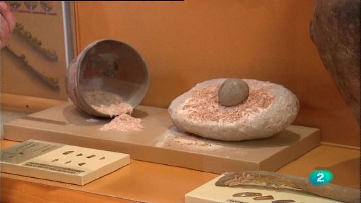 La aventura del Saber - La Aventura del Saber. Serie documental. El túnel del tiempo. Los primeros agricultores