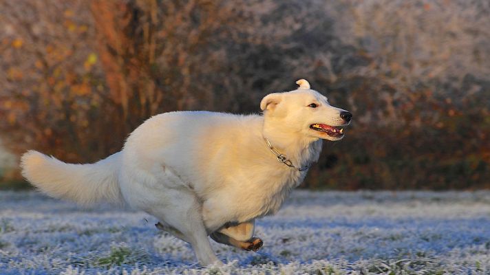 El tiempo - Descenso de las temperaturas y de la cota de nieve