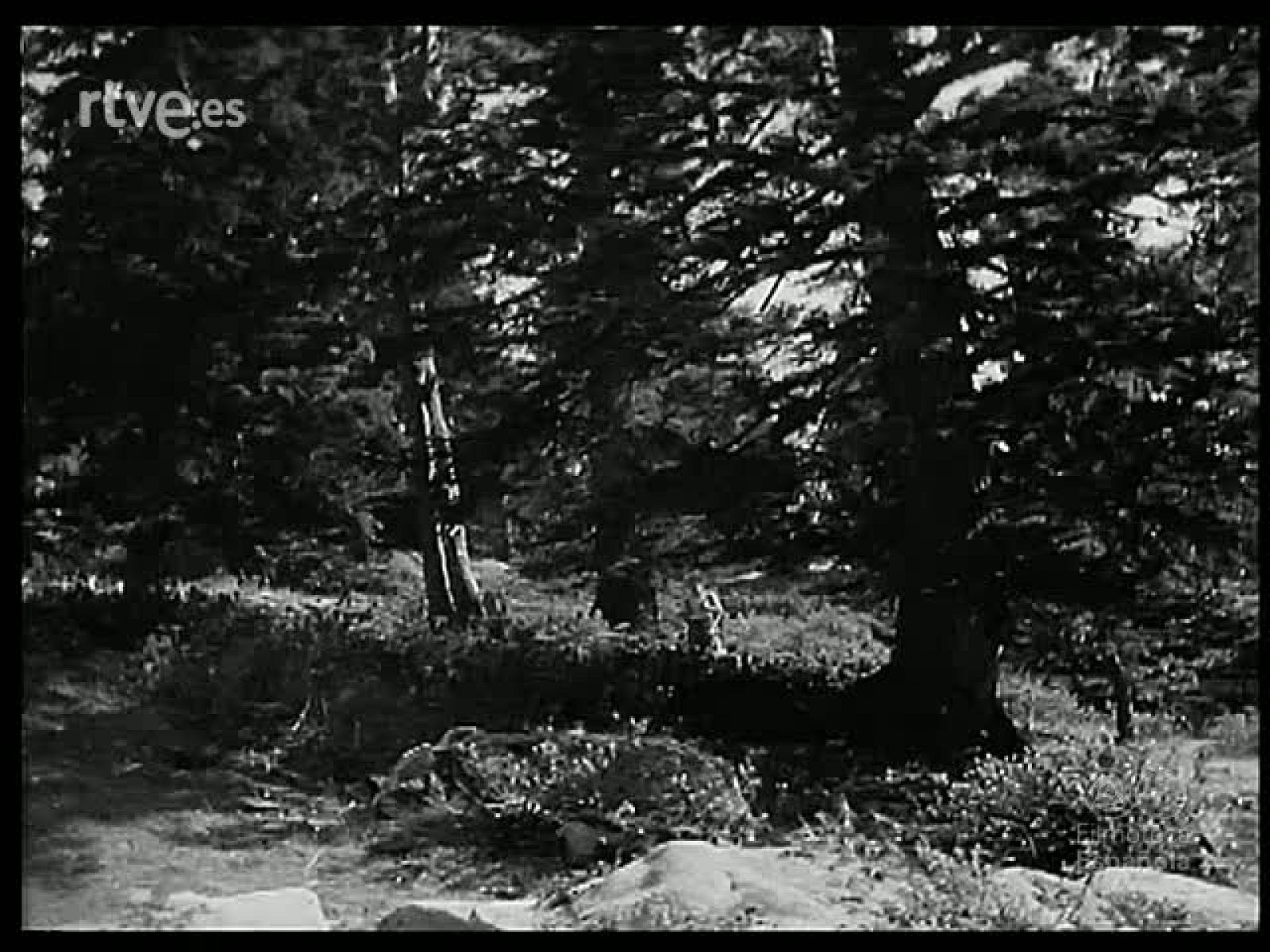 PAISAJE Y RIQUEZA DE LERIDA - Revista Imágenes | Ver