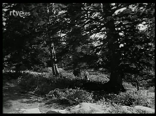 Revista Imágenes - PAISAJE Y RIQUEZA DE LERIDA