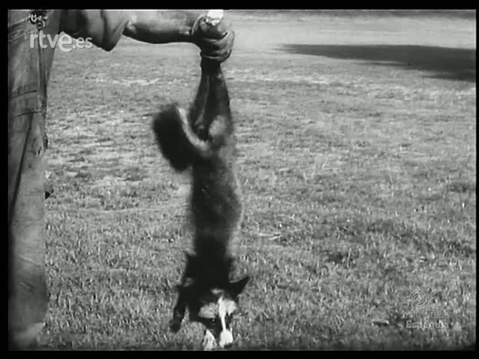 DIVERTIDO Y CURIOSO - Revista Imágenes | Ver