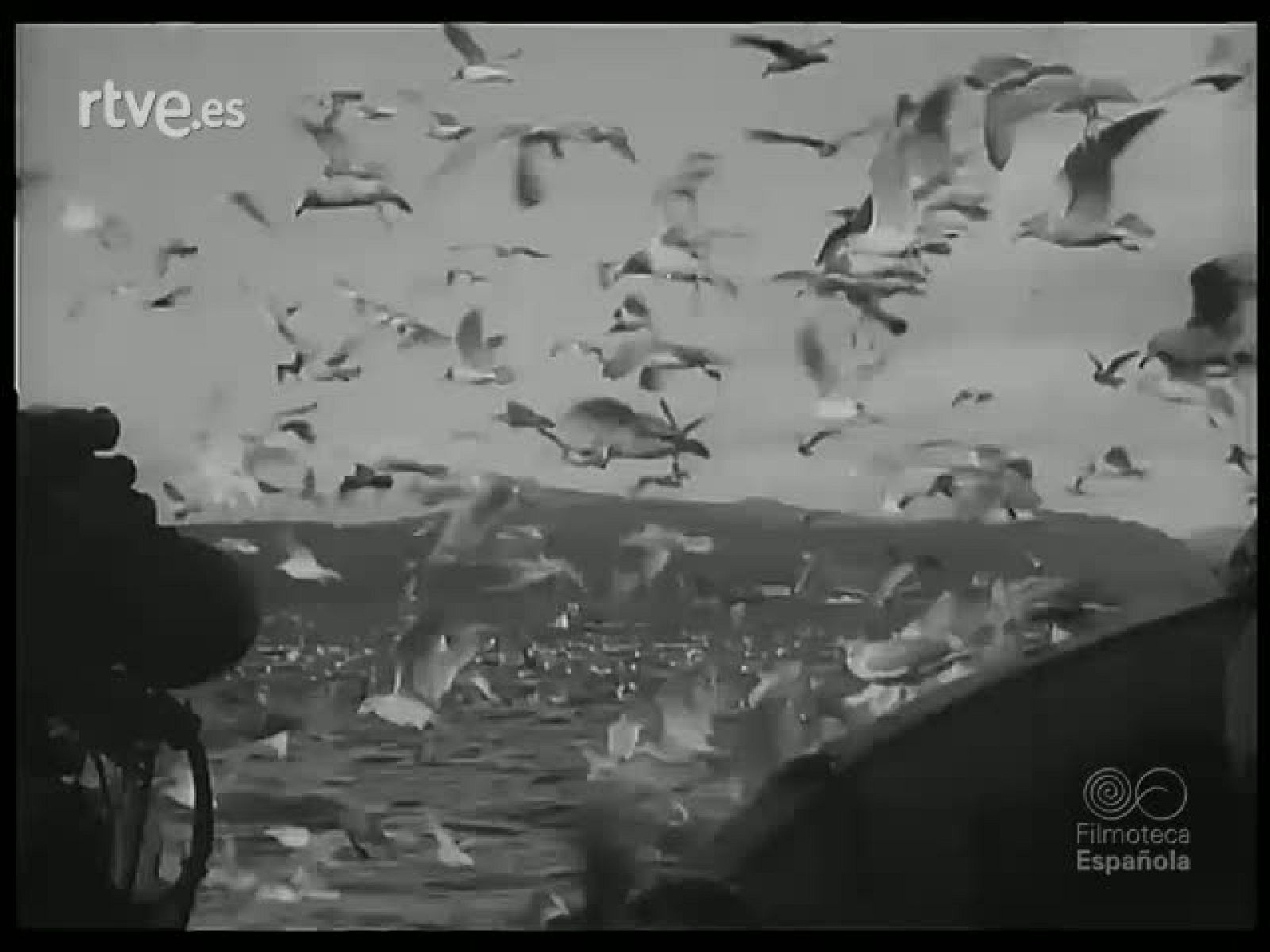 VARIANTES DE LA PESCA - Revista Imágenes | Ver