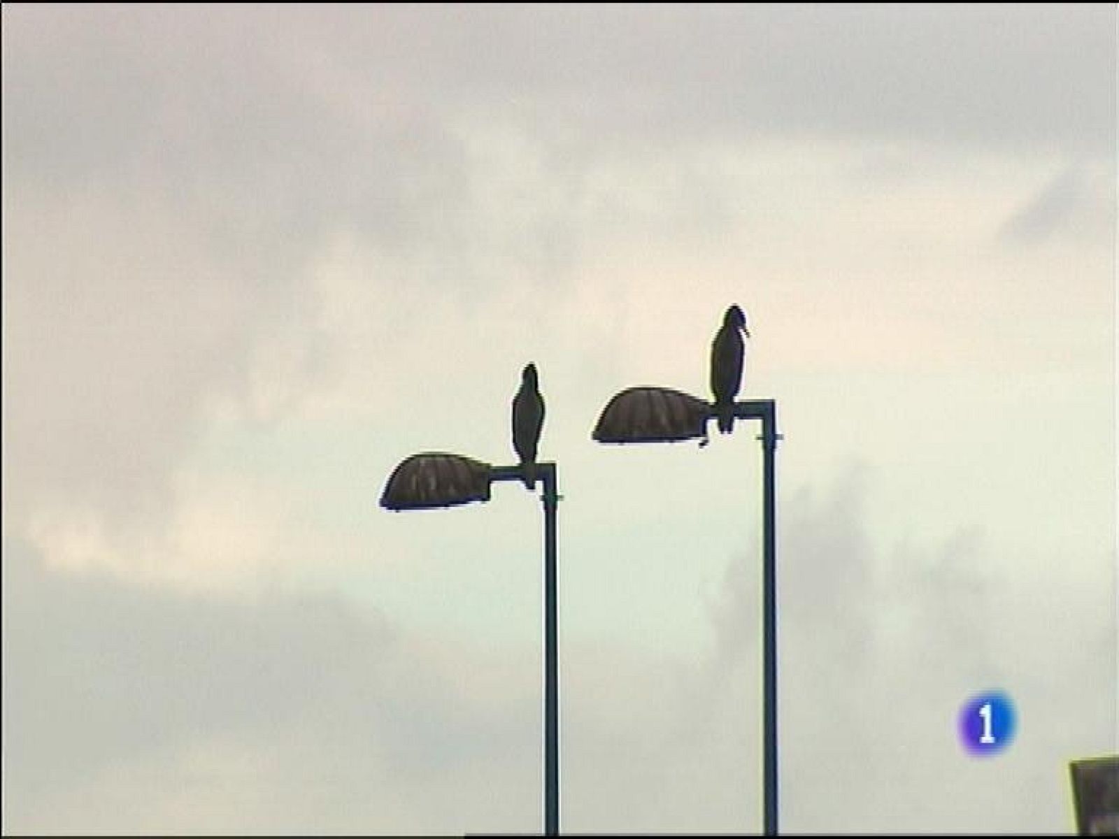 El tiempo en Asturias - 03/12/14 | Ver