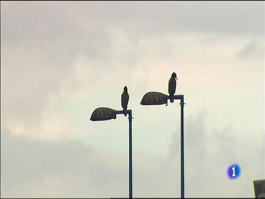 Panorama Regional - El tiempo en Asturias - 03/12/14