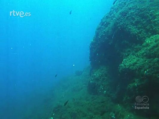 Documentales Color - BUCEADORES DE COMBATE