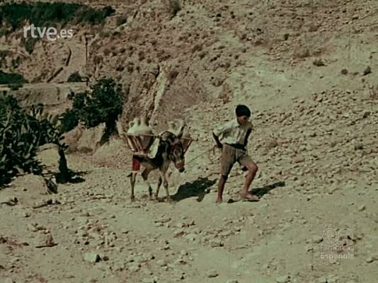 Documentales Color - LOS CANTAROS DE PLATERO