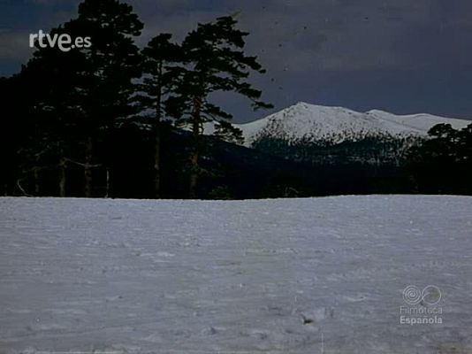 Documentales Color - CAPRICHO