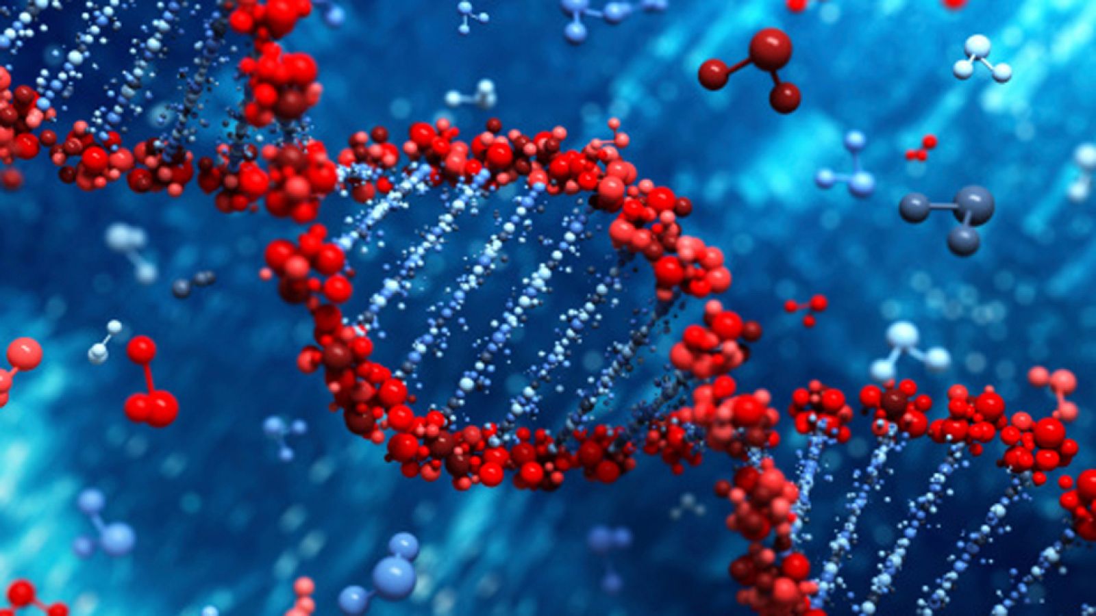 Saber vivir -  ¿Qué se hereda?