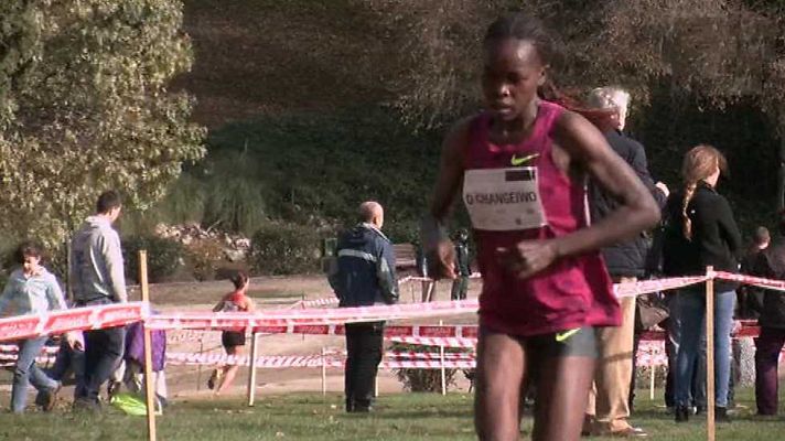 Cross - Cross internacional de la Constitución desde Alcobendas