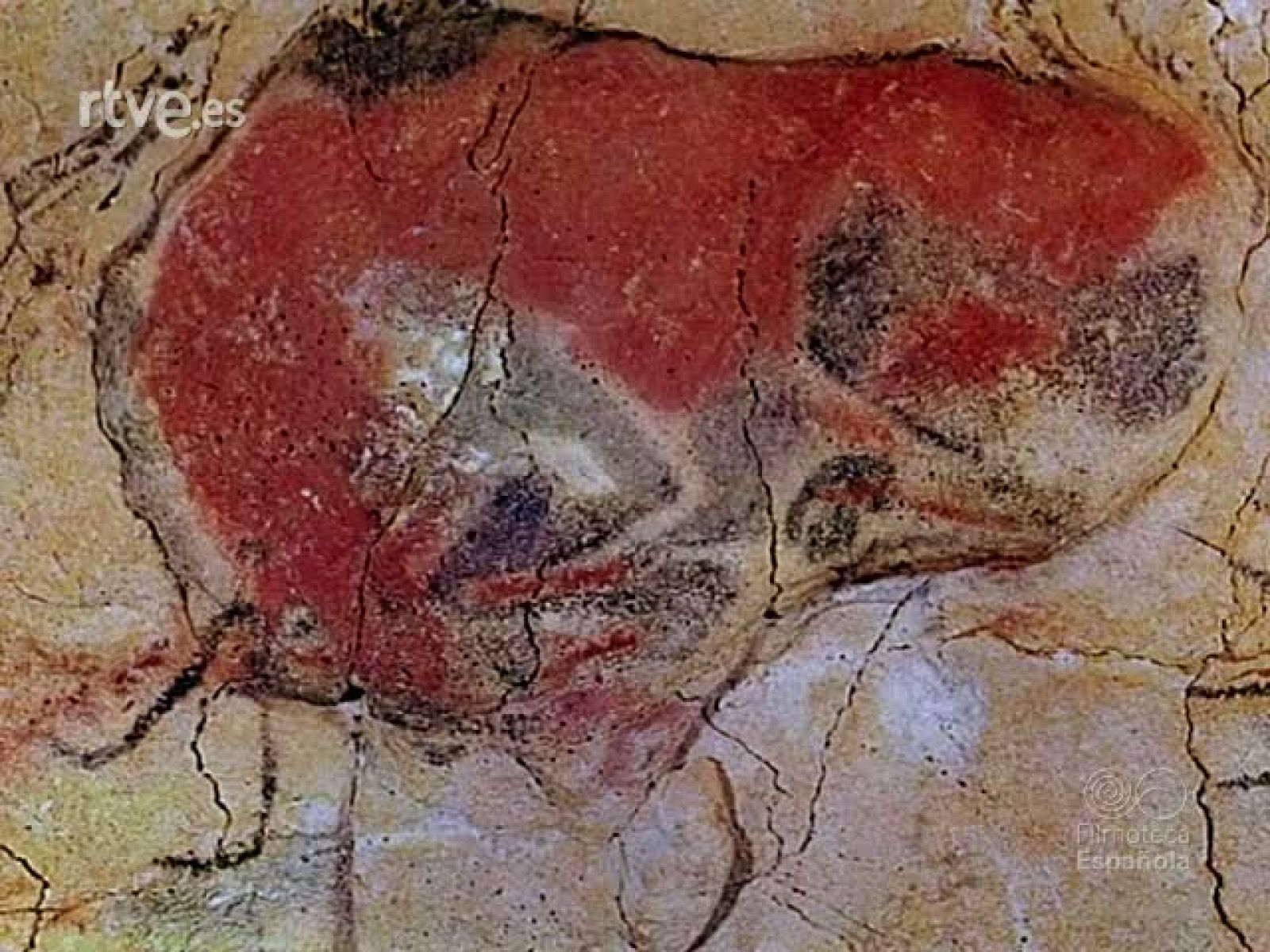 LA CAZA EN ESPAÑA - Documentales Color | Ver