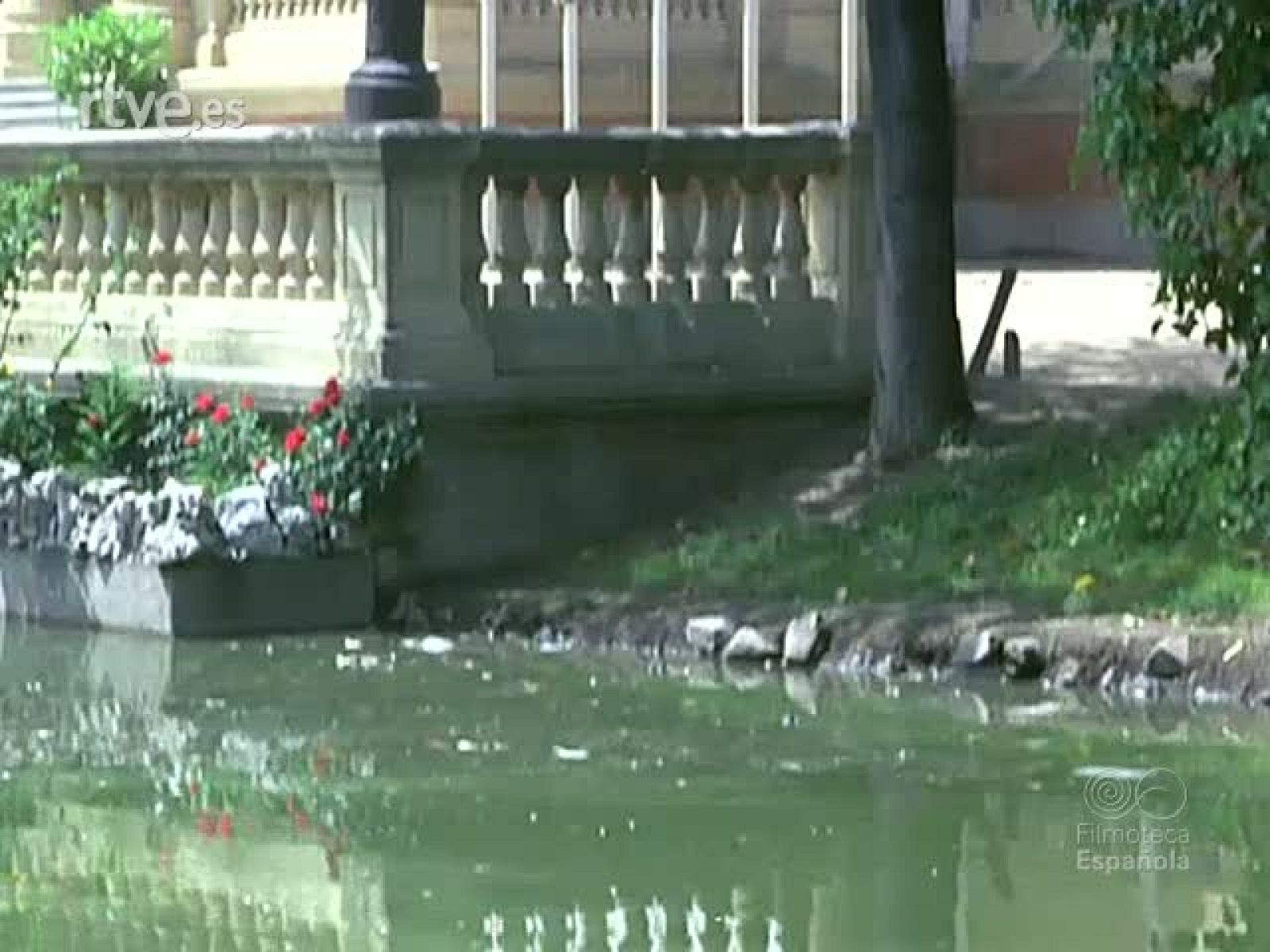 EL DEPORTE EN LAS BELLAS ARTES - Documentales Color | Ver