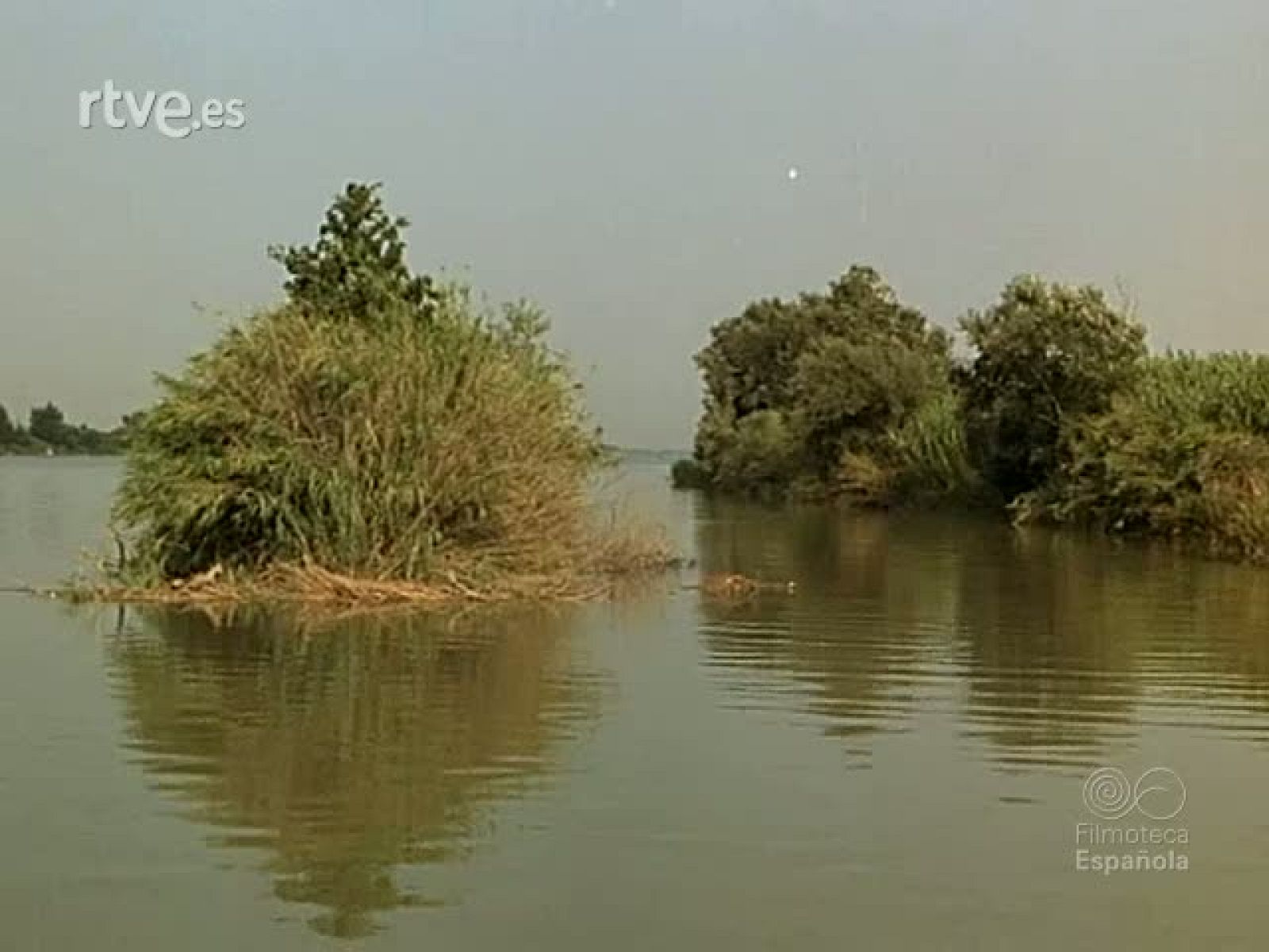 DE MAR A MAR POR EL PIRINEO - Documentales Color | Ver