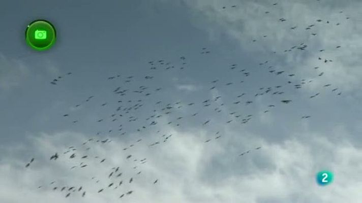 Agrosfera - Comarca de La Serena