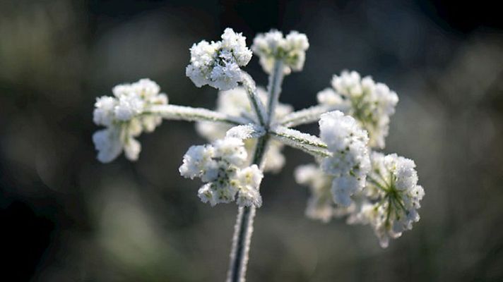 Informativo de Madrid - El tiempo en la Comunidad de Madrid - 09/12/14