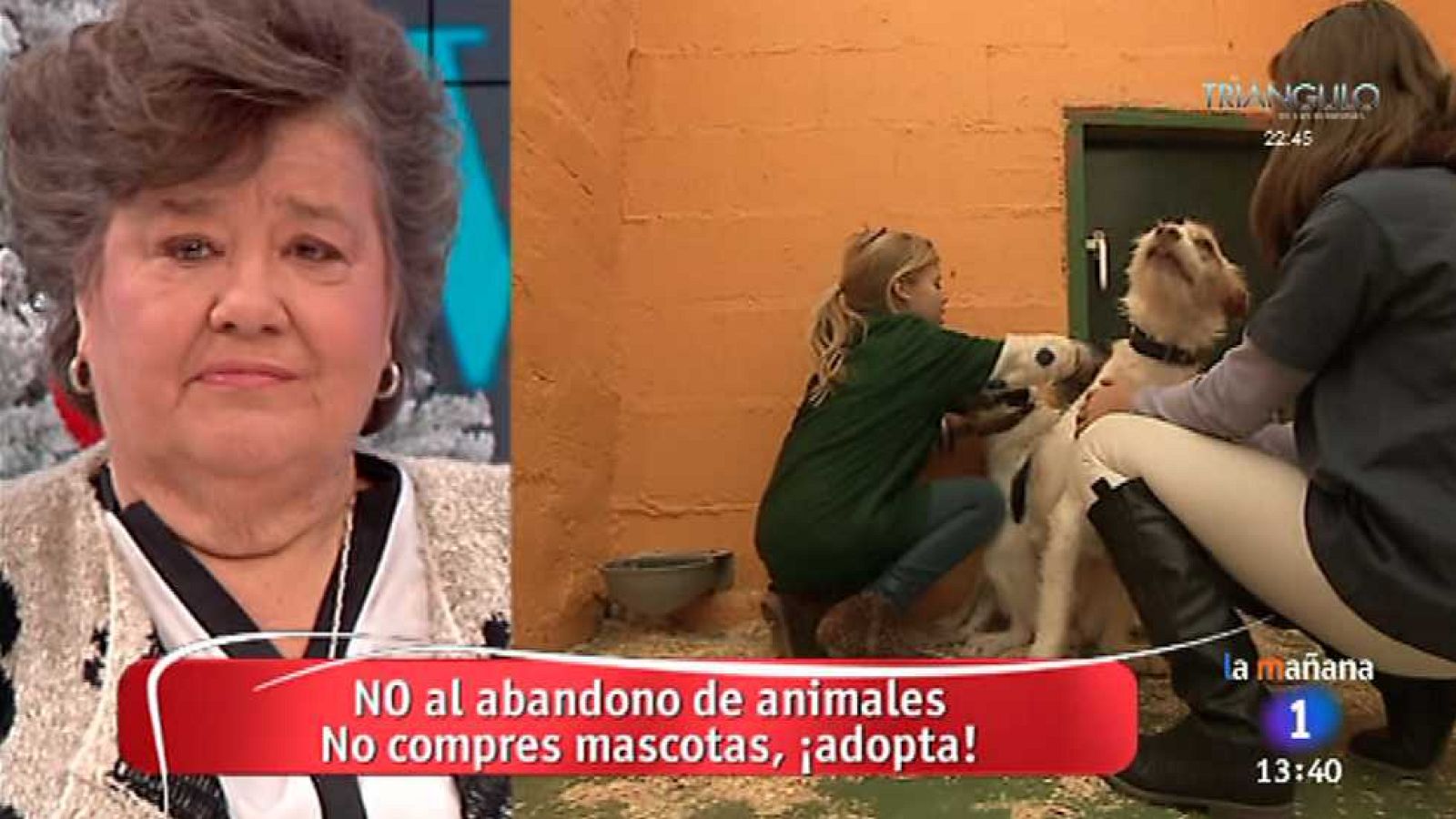 Amigas y conocidas - 09/12/14 - ver ahora