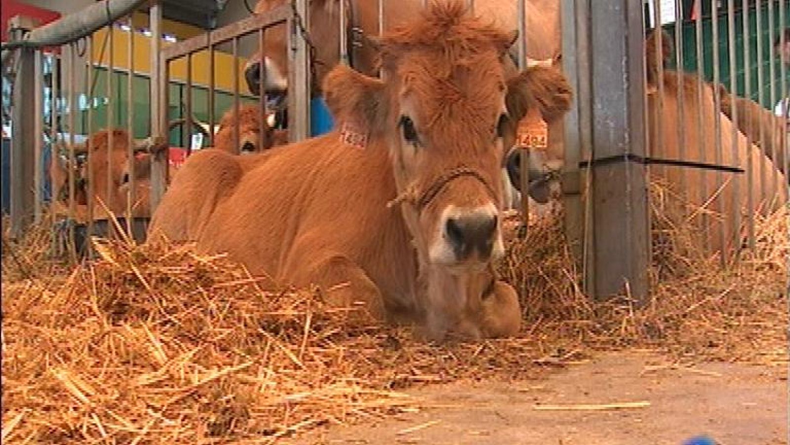 Panorama Regional - 09/12/14 | Ver