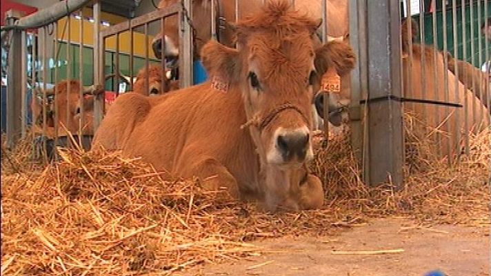 Panorama Regional - Panorama Regional - 09/12/14