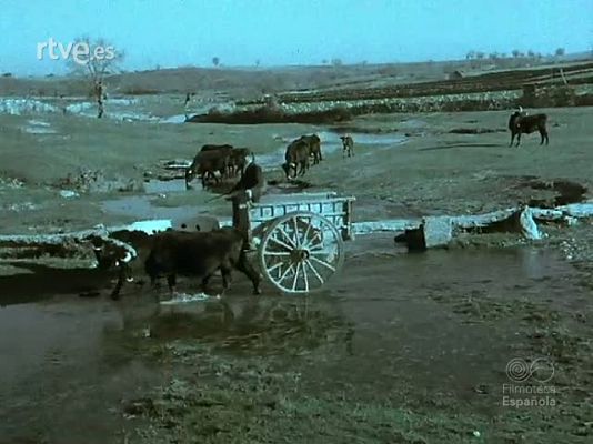 Documentales Color - ENERGIA Y FUERZA