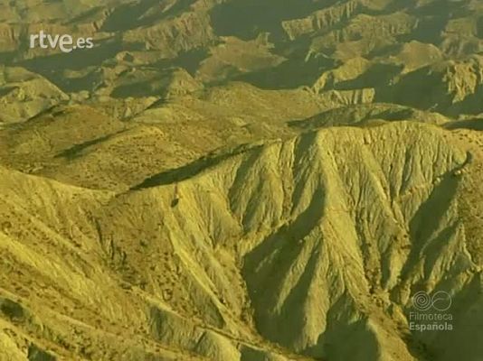 Documentales Color - ESPAÑA PLATO INTERNACIONAL