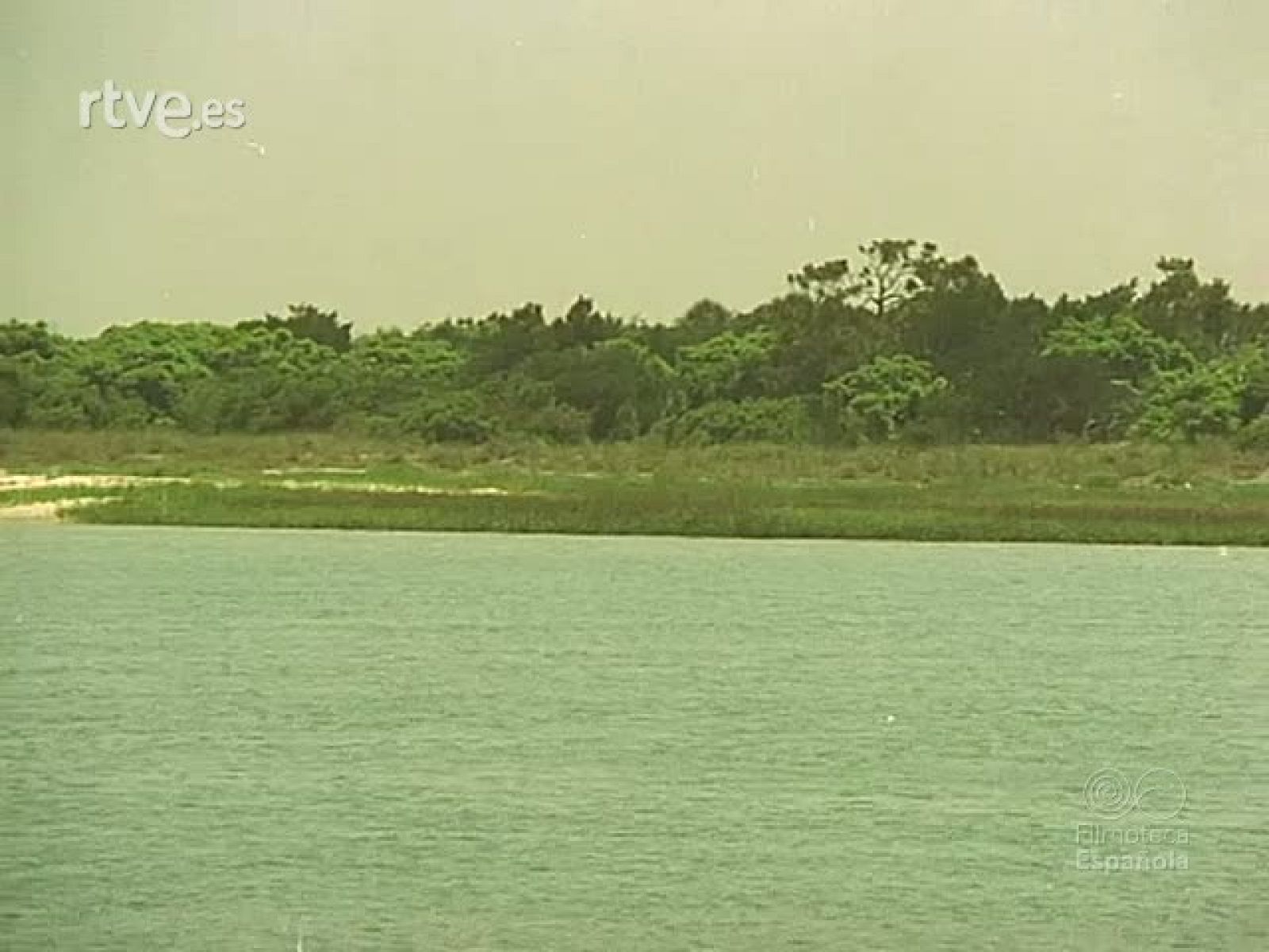 ESPAÑA EN FLORIDA - Documentales Color | Ver