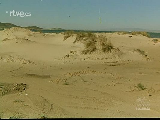 Documentales Color - ENTRE DOS MARES