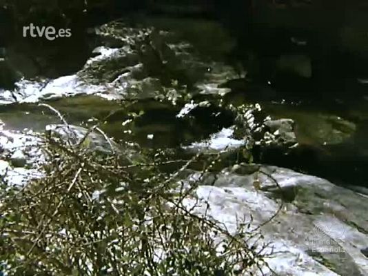 Documentales Color - ESE APRENDIZ DE RIO