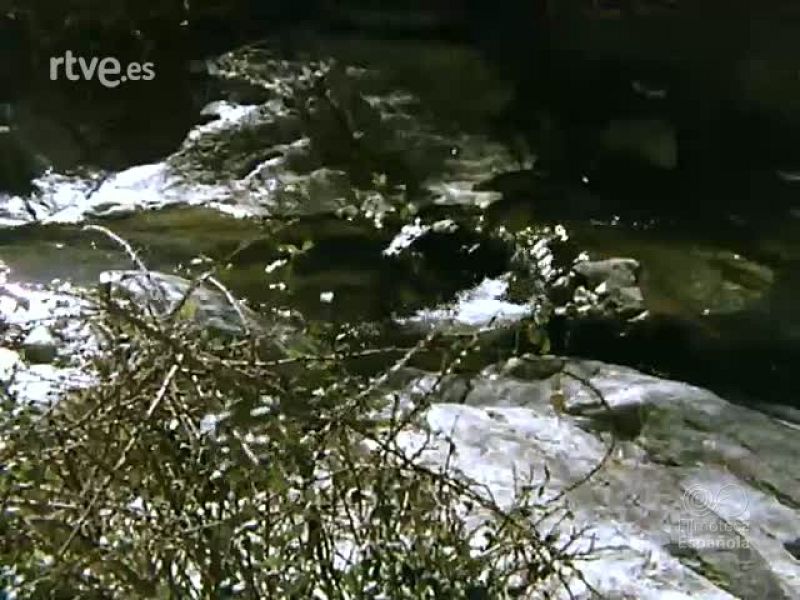 ESE APRENDIZ DE RIO - Documentales Color | Ver